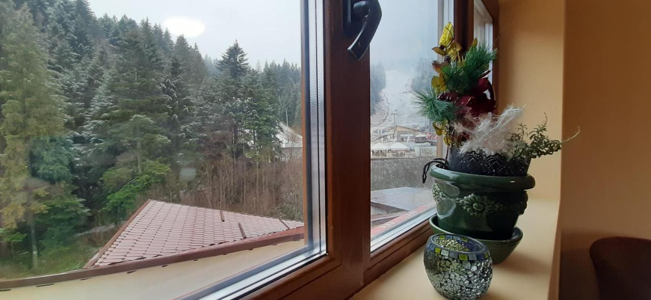 Kalinderu Skier'S Apartament Bellevue Buşteni Extérieur photo
