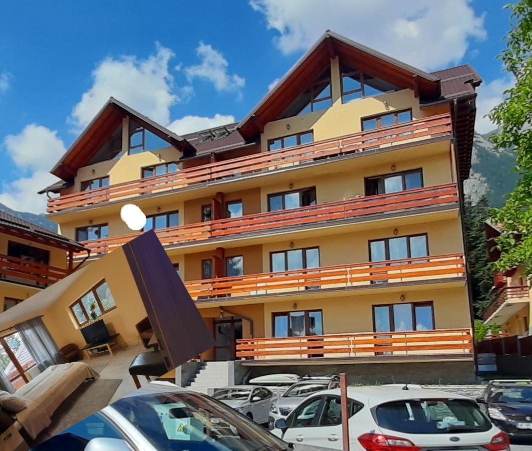 Kalinderu Skier'S Apartament Bellevue Buşteni Extérieur photo