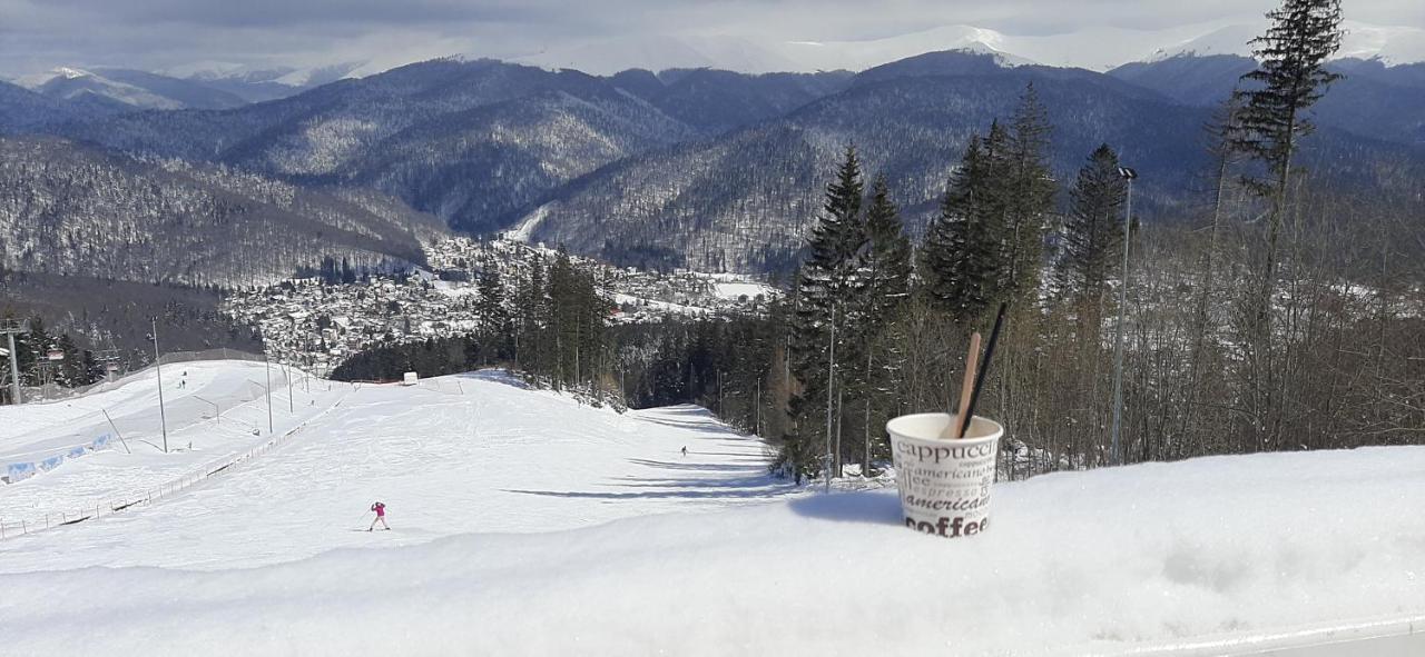 Kalinderu Skier'S Apartament Bellevue Buşteni Extérieur photo