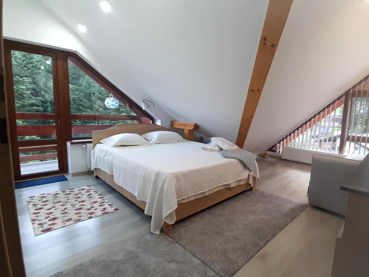 Kalinderu Skier'S Apartament Bellevue Buşteni Extérieur photo